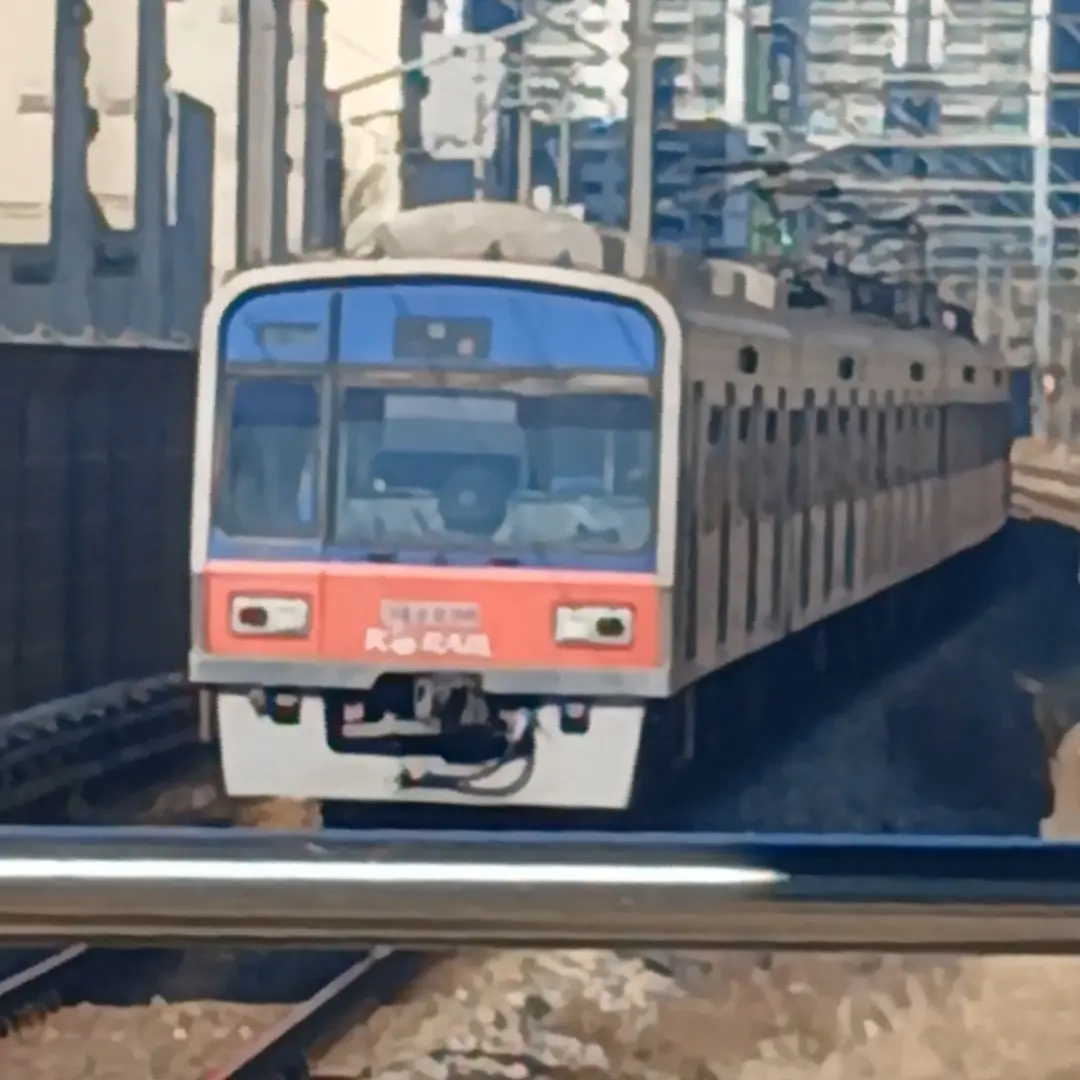 Korail-1의 납작이