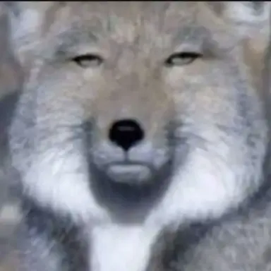 Profile image of 여우