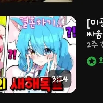 Profile image of 료미