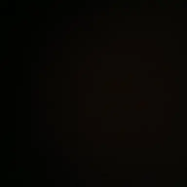 Profile image of 최남라