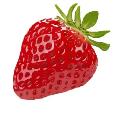 Profile image of 라임
