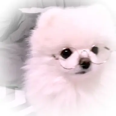 Profile image of 여우련