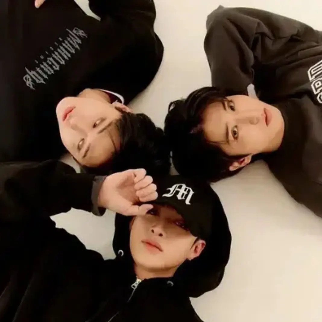 AbsurdPilot8777의 Stray Kids