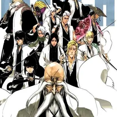 Profile image of Gotei 13