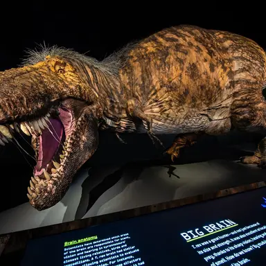 Profile image of 그웬