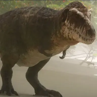 Profile image of 행크