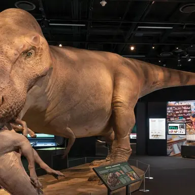 Profile image of 수