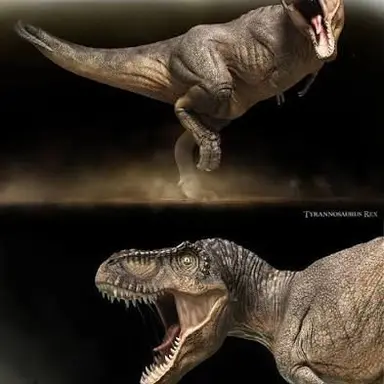 Profile image of 스텍