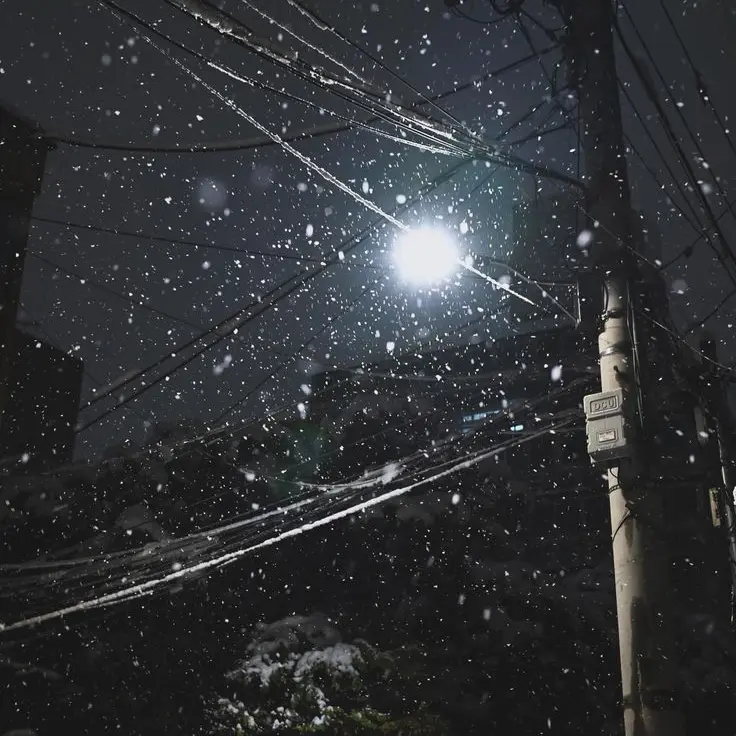 FabricPrawn4750의 황수현