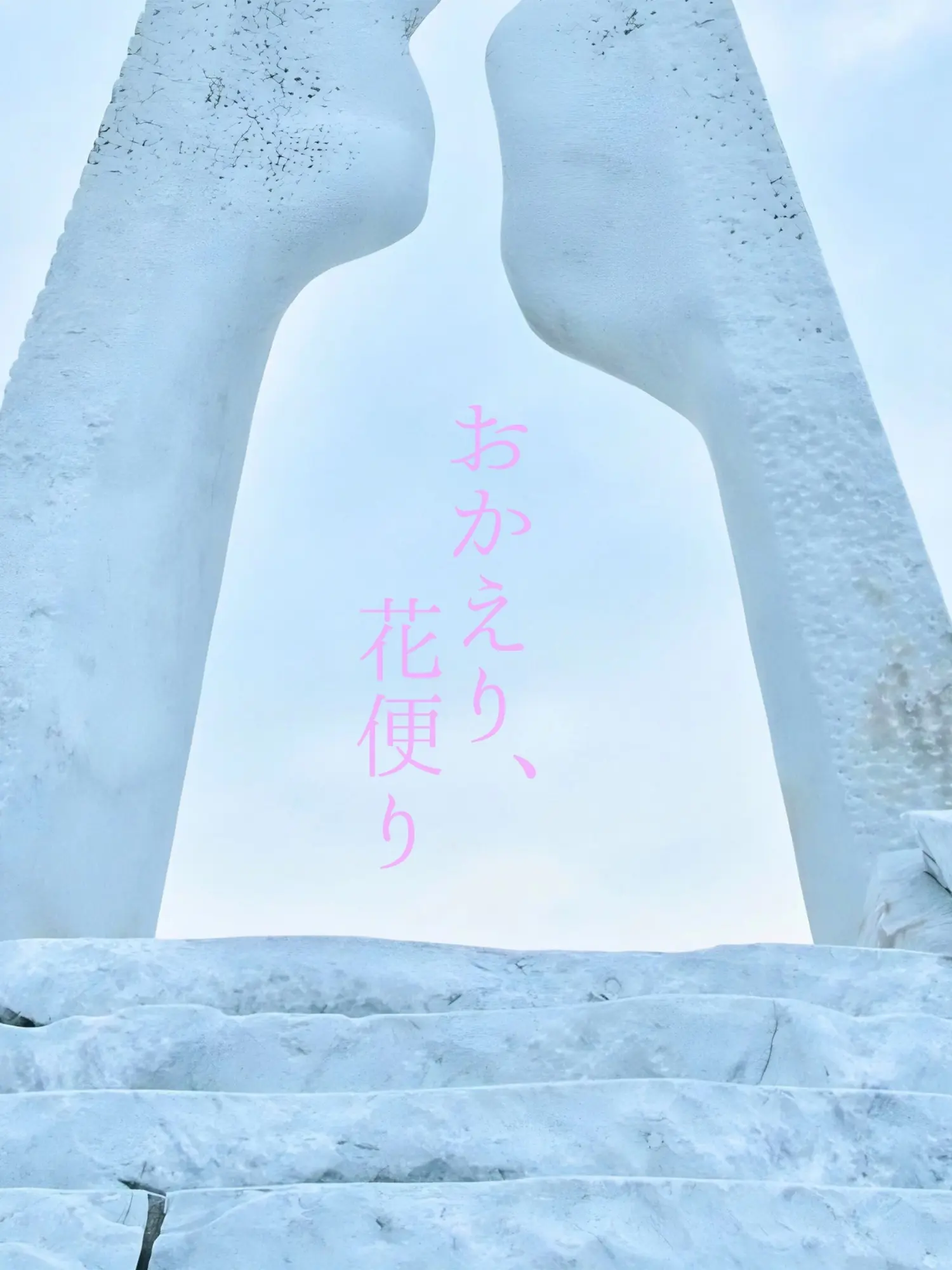 matsutake의 おかえり、花便り