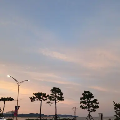 Profile image of 유기사
