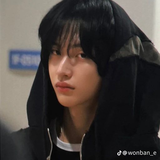 박원빈