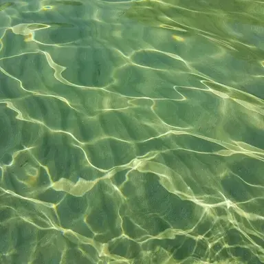 Profile image of 정형준