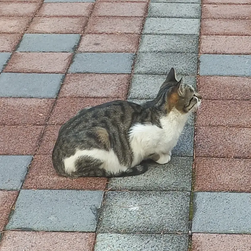 Eugyagya5018의 차도남