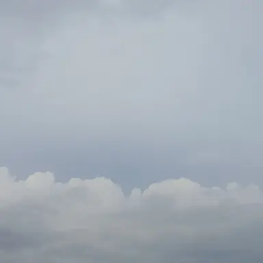 Profile image of 라더