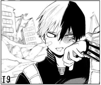 Profile image of Shoto Todoroki
