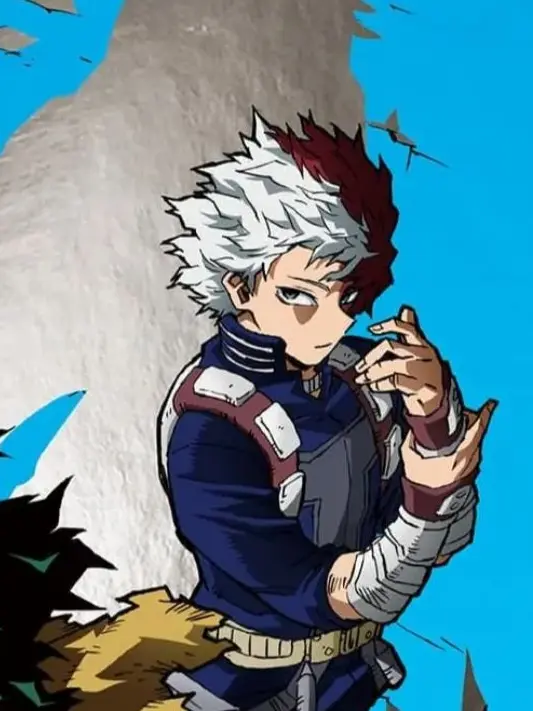 userkirawarehatukuranai의 Todoroki's Partner