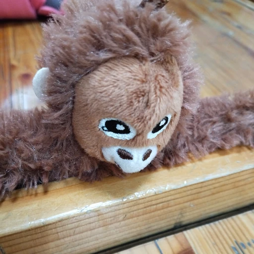 오랑이