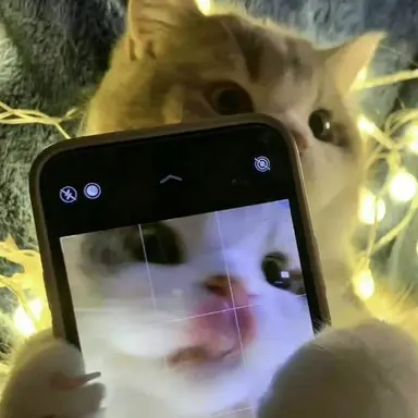 Profile image of 김건우