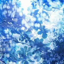 Profile image of かちょー