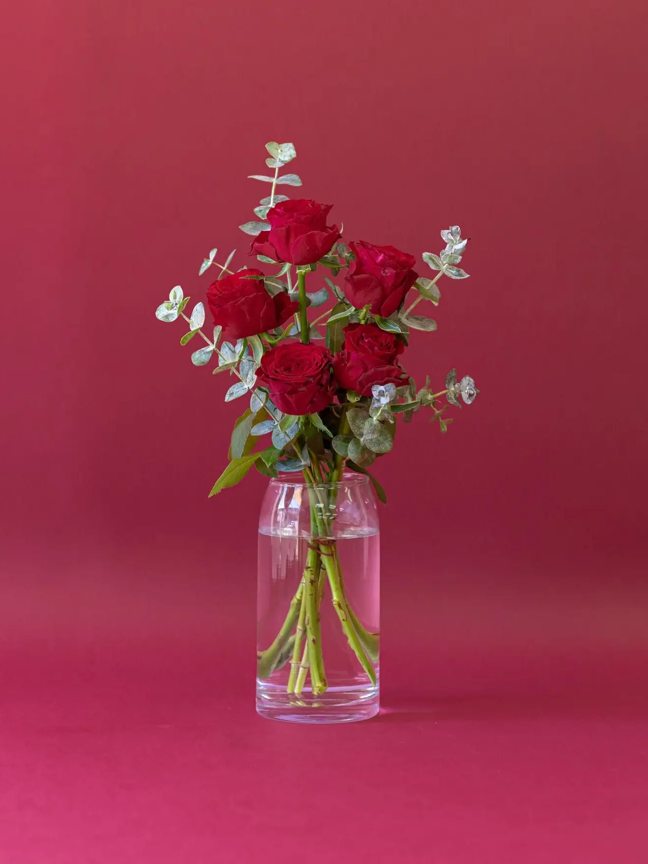 Kemuri_777_의 『ローレンの成長記録   1冊目』