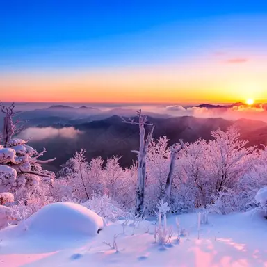 Profile image of 전현주