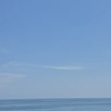 Profile image of 전하림