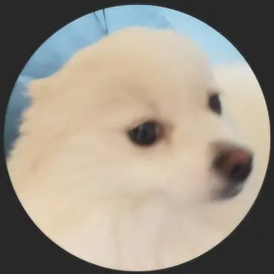 Profile image of 구름이