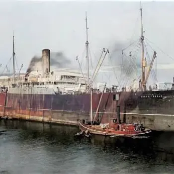 Profile image of 마운트템플