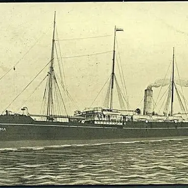 Profile image of 벌마