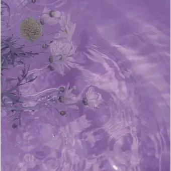 Profile image of 한노아