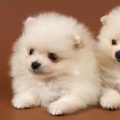 Profile image of 성호