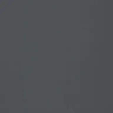 Profile image of 장한음