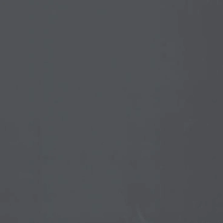 장한음