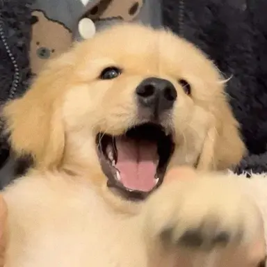 Profile image of 누리