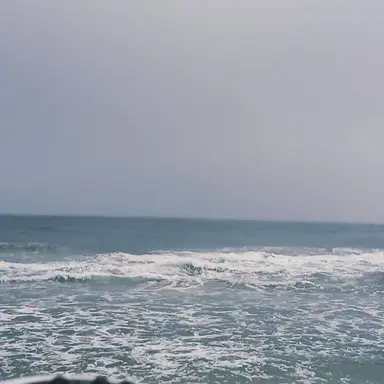 Profile image of 금비