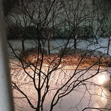 Profile image of 백나른