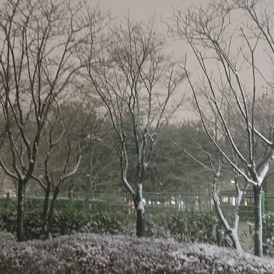 Profile image of 독새