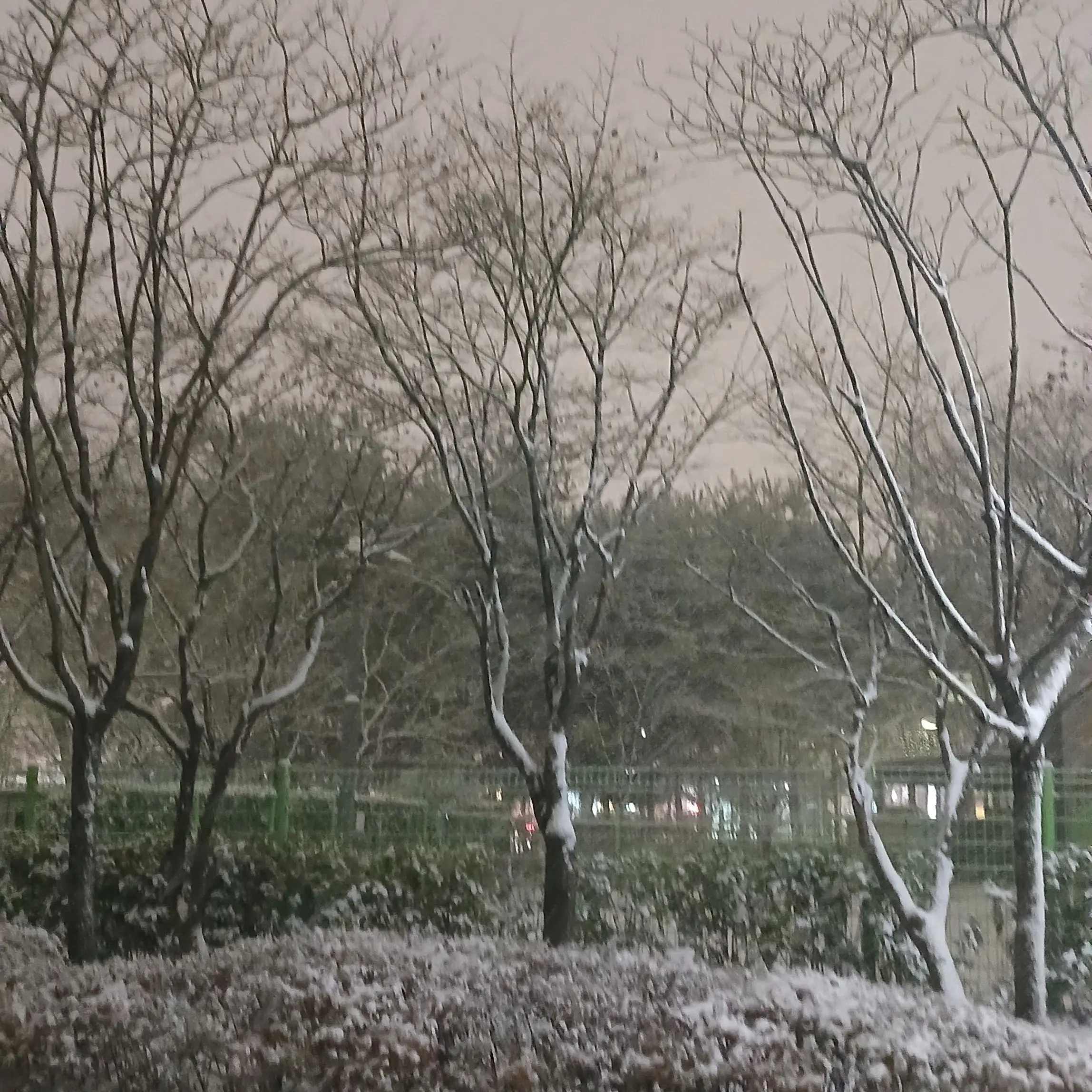 LooseFog9379의 나른한 패밀리 Q&A