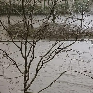 Profile image of 망묘