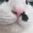 うは