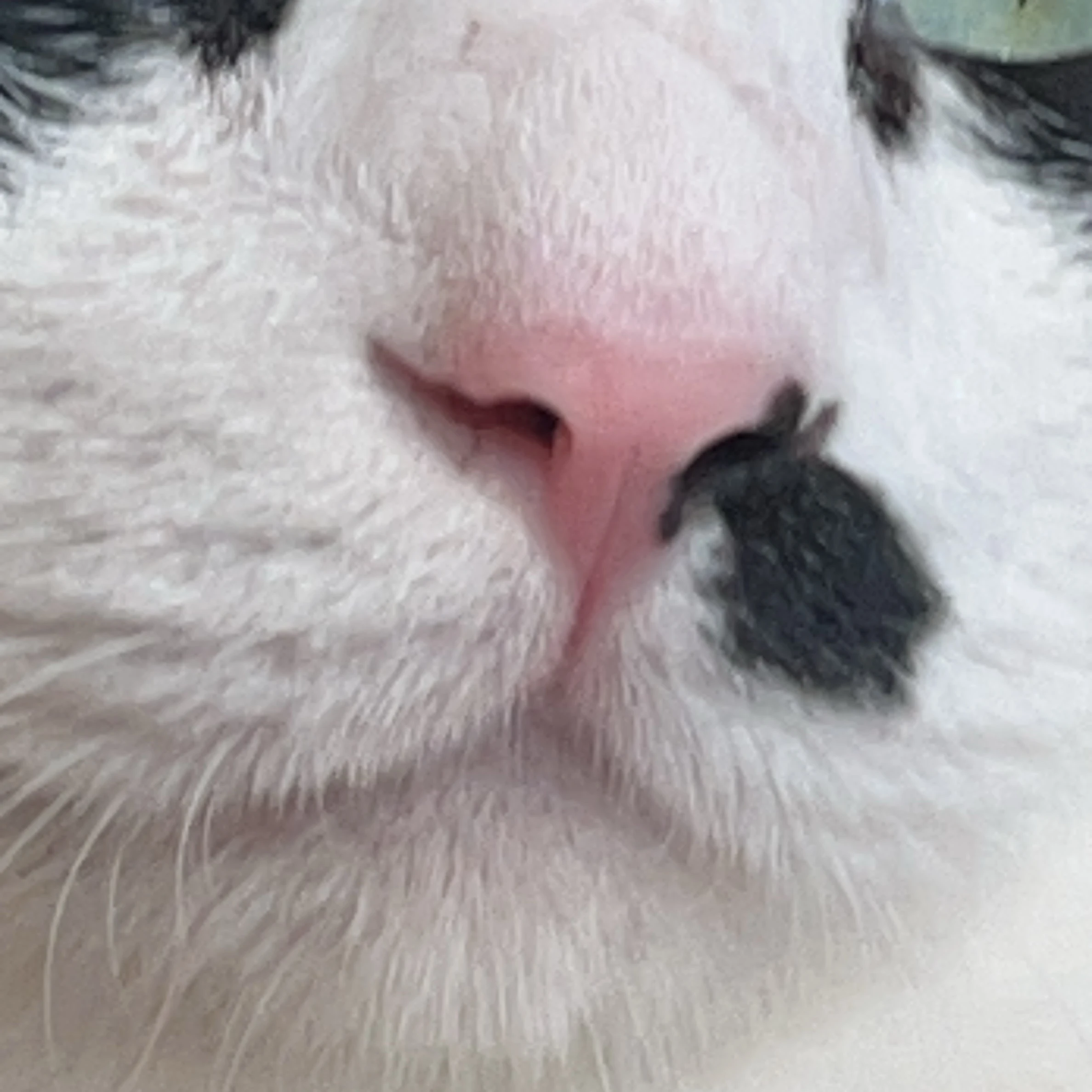 うは