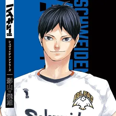 Profile image of 影山飛雄