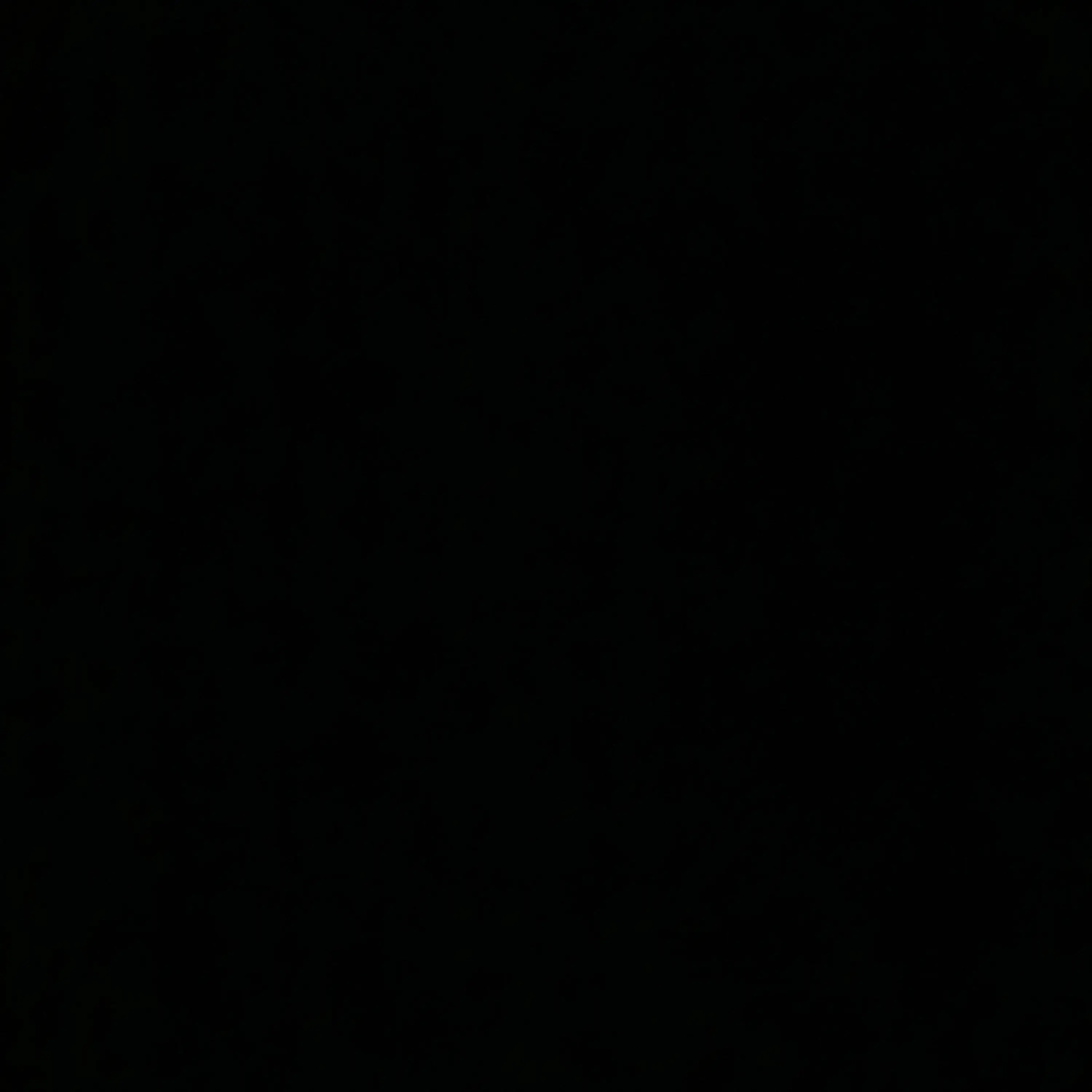 LonelyPen2250의 미카사