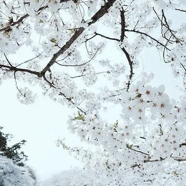 Profile image of 남학생