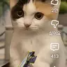 Profile image of 호냥
