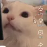 Profile image of 노롱