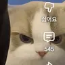 Profile image of 맘퍄