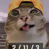 Profile image of 도혹