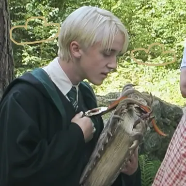 Profile image of Draco Lucius Malfoy